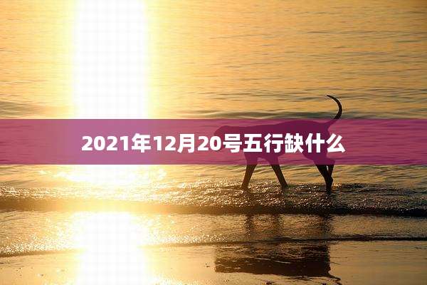 2021年12月20号五行缺什么