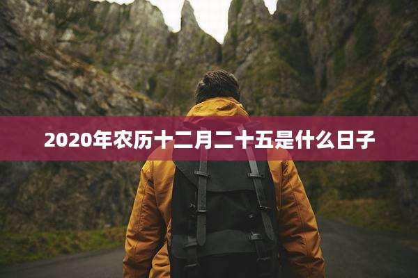 2020年农历十二月二十五是什么日子