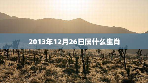 2013年12月26日属什么生肖