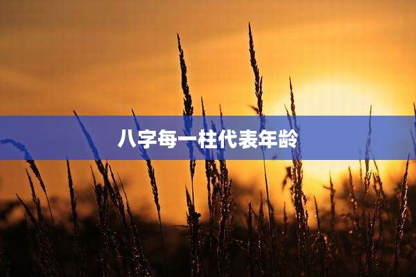 八字每一柱代表年龄