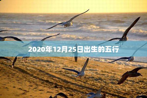 2020年12月25日出生的五行