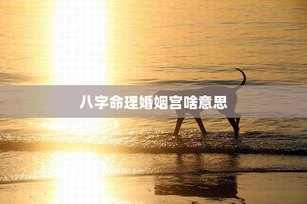八字命理婚姻宫啥意思