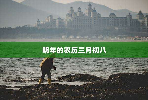 明年的农历三月初八