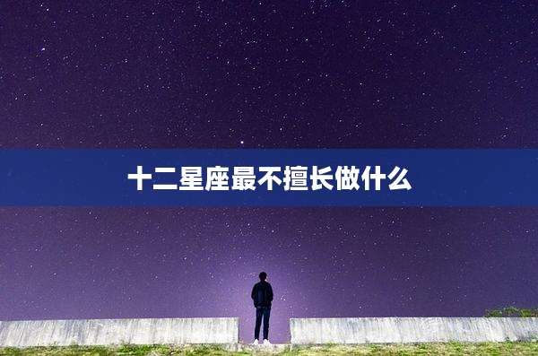 十二星座最不擅长做什么