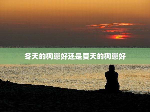 冬天的狗崽好还是夏天的狗崽好