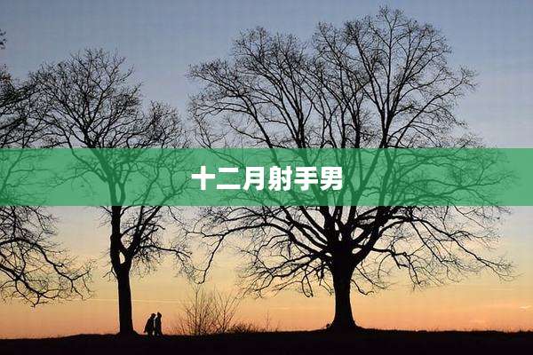 十二月射手男