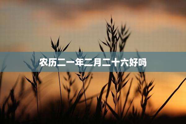 农历二一年二月二十六好吗