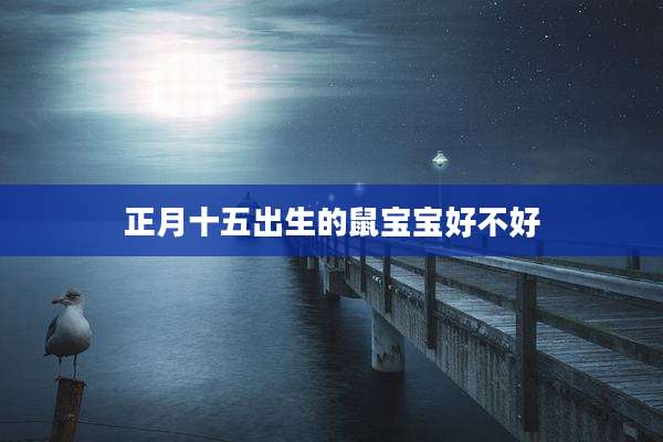 正月十五出生的鼠宝宝好不好