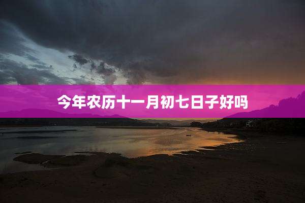 今年农历十一月初七日子好吗