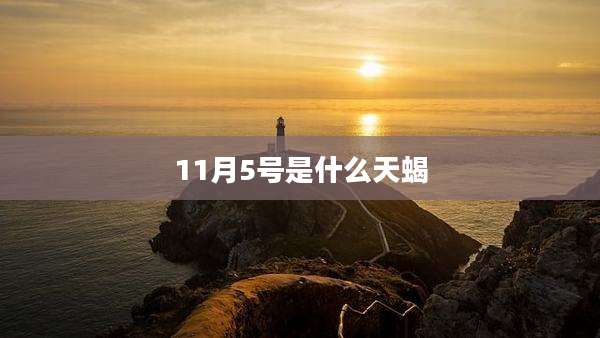 11月5号是什么天蝎