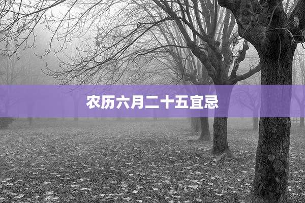 农历六月二十五宜忌