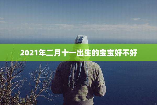2021年二月十一出生的宝宝好不好