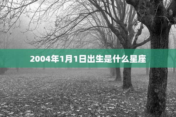 2004年1月1日出生是什么星座