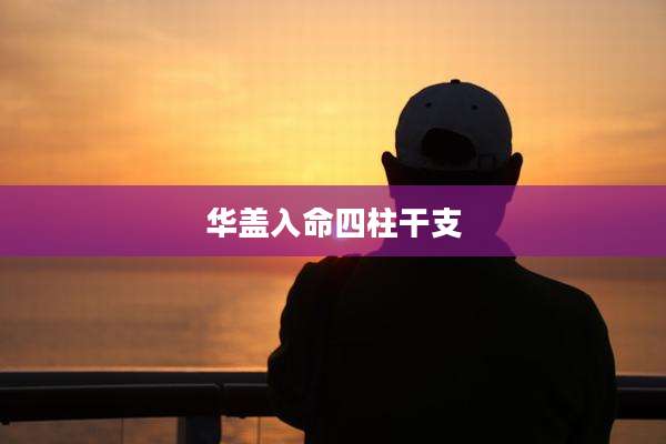 华盖入命四柱干支