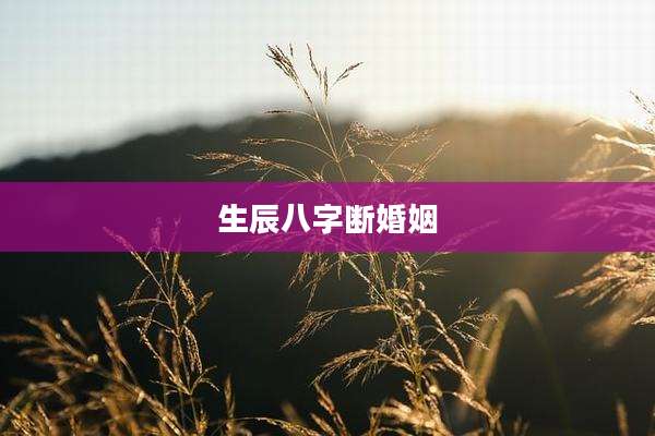 生辰八字断婚姻