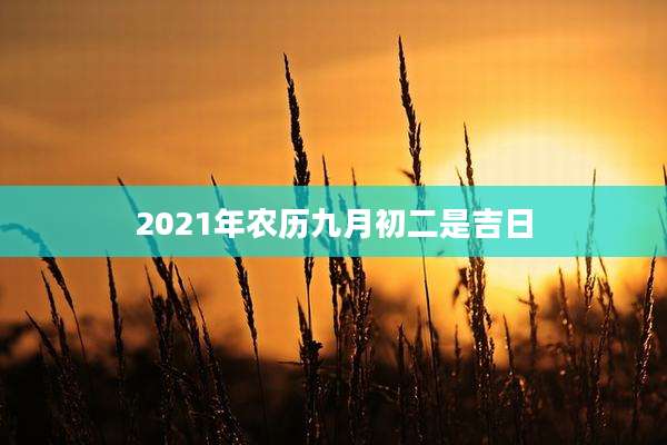 2021年农历九月初二是吉日