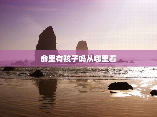 命里有孩子吗从哪里看