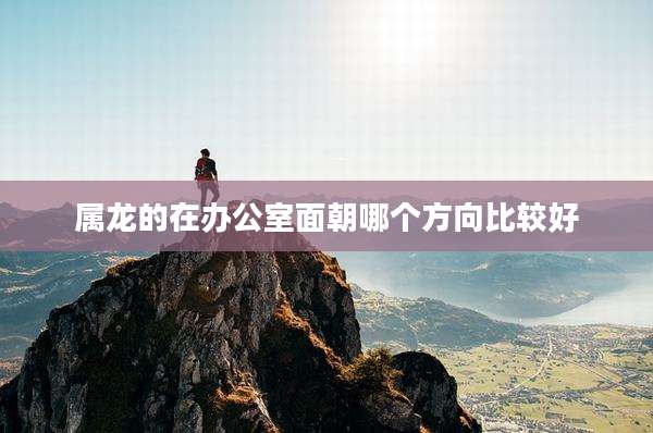 属龙的在办公室面朝哪个方向比较好