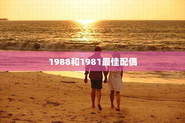 1988和1981最佳配偶