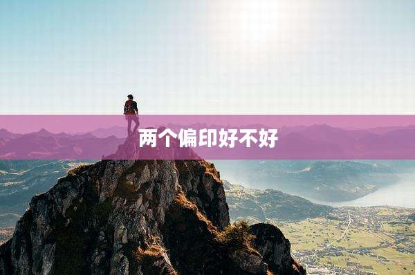 两个偏印好不好