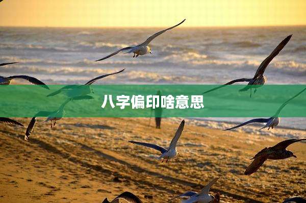 八字偏印啥意思