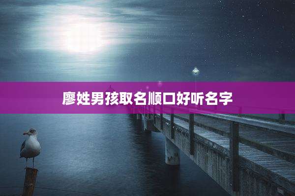 廖姓男孩取名顺口好听名字