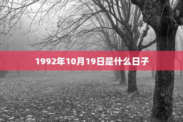 1992年10月19日是什么日子