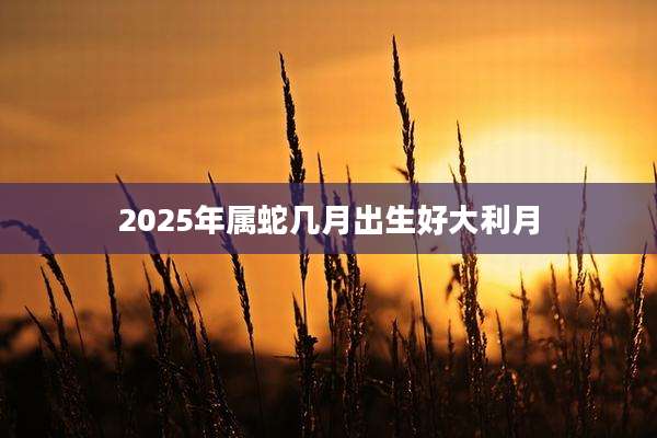 2025年属蛇几月出生好大利月