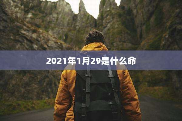 2021年1月29是什么命
