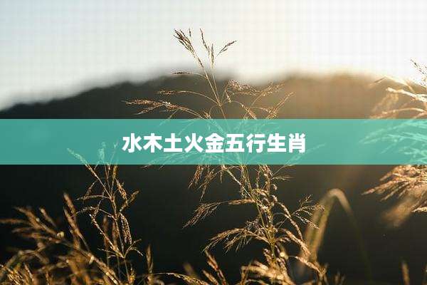 水木土火金五行生肖