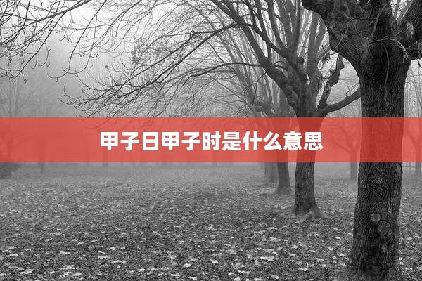 甲子日甲子时是什么意思