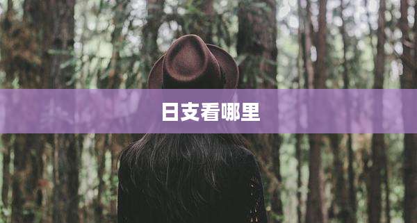 日支看哪里
