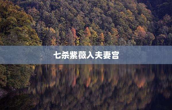 七杀紫薇入夫妻宫