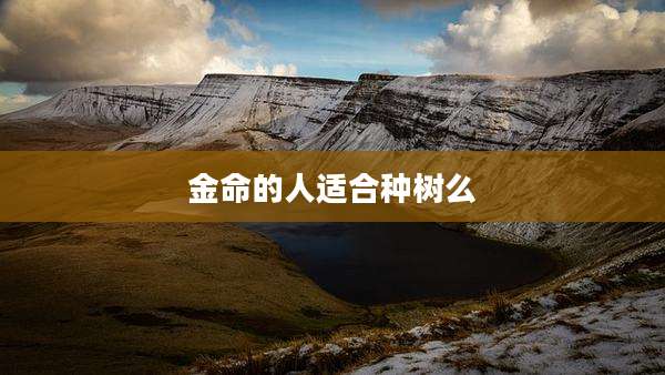 金命的人适合种树么