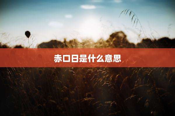 赤口日是什么意思