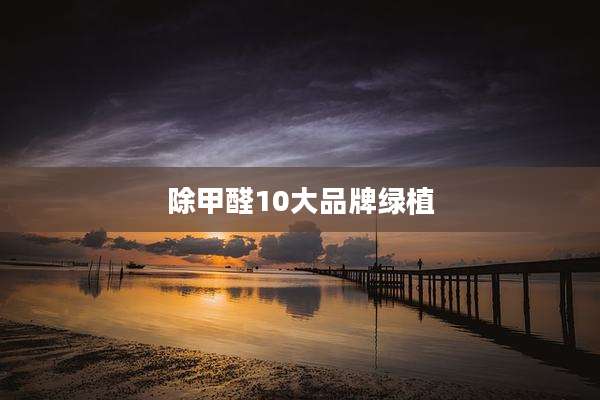 除甲醛10大品牌绿植