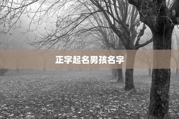 正字起名男孩名字