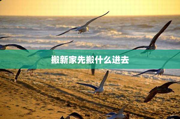 搬新家先搬什么进去