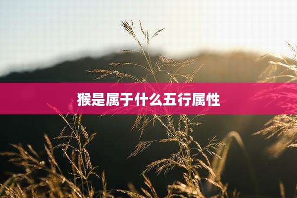 猴是属于什么五行属性