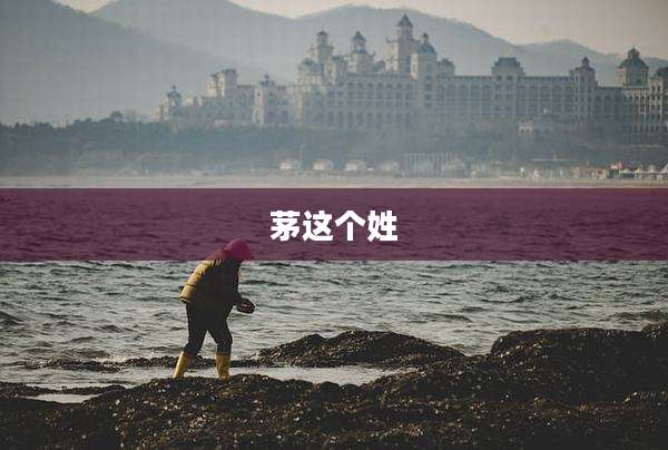 茅这个姓