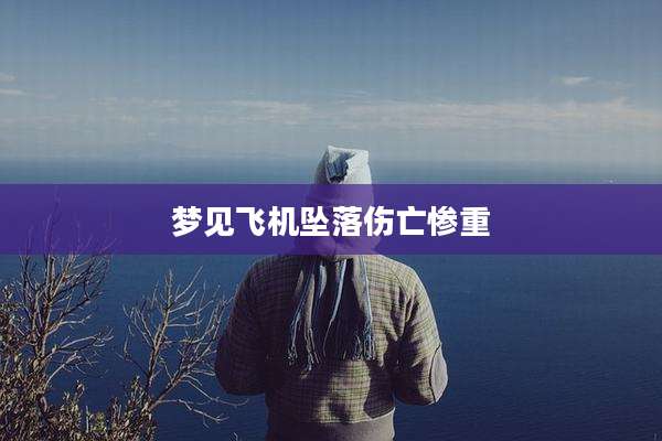 梦见飞机坠落伤亡惨重
