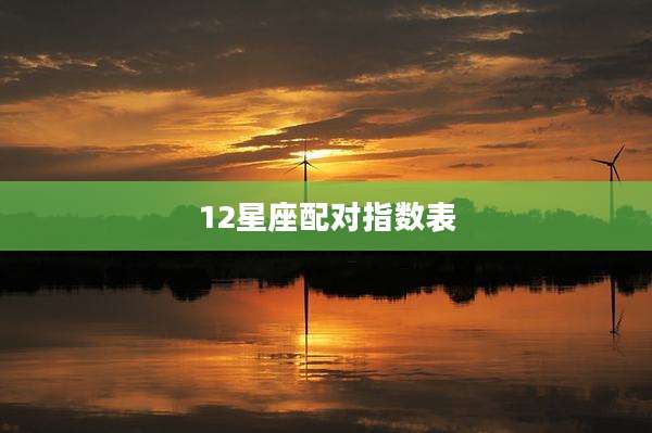 12星座配对指数表