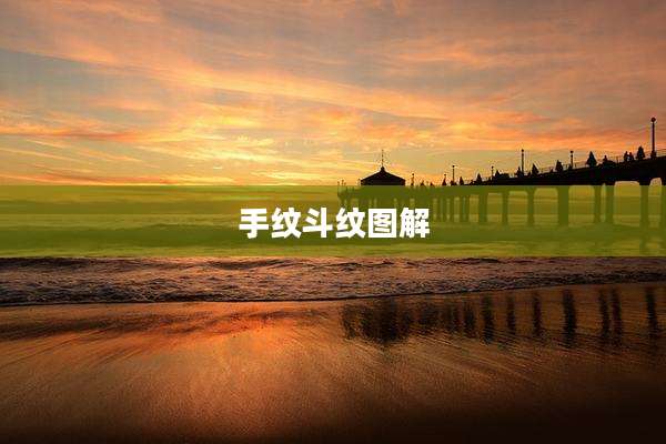 手纹斗纹图解