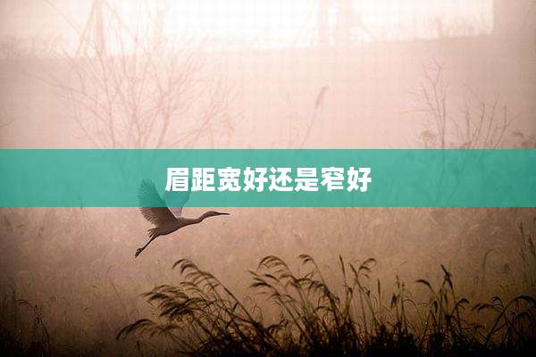 眉距宽好还是窄好