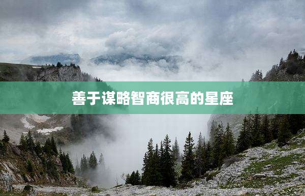善于谋略智商很高的星座