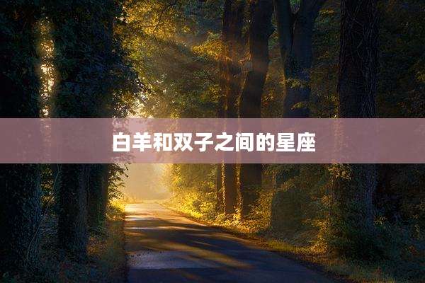 白羊和双子之间的星座