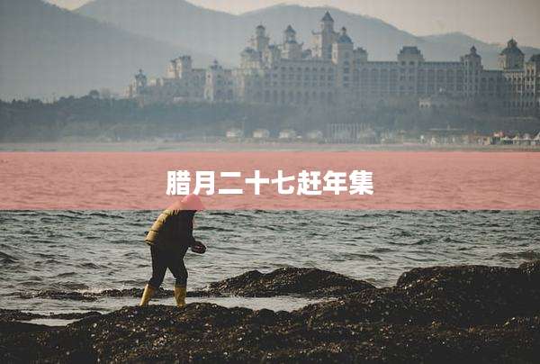 腊月二十七赶年集