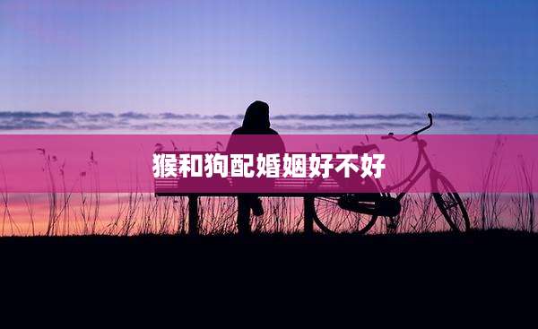 猴和狗配婚姻好不好