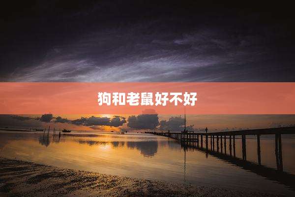 狗和老鼠好不好