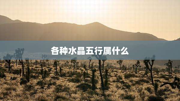 各种水晶五行属什么